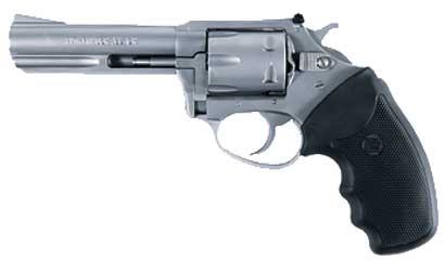 CHARTER ARMS PATHFINDER 22LR SS 4"