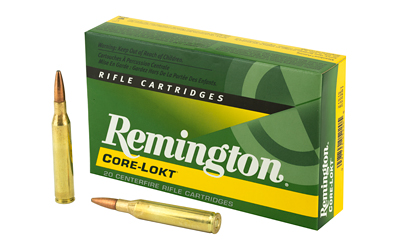 REM 25-06REM 120GR PSP CL 20/200