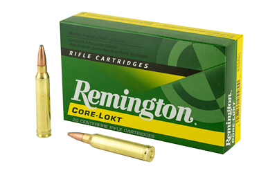 REM 300WIN 180GR PSP CL 20/200