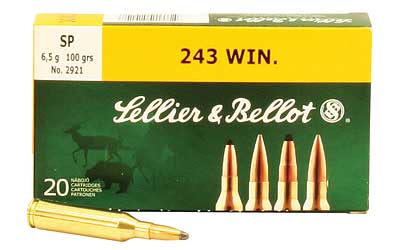 S&B 243WIN 100GR SP 20/500
